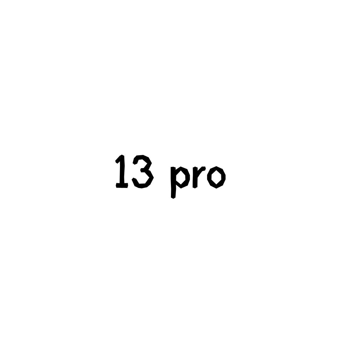 13 pro – ApplyCases